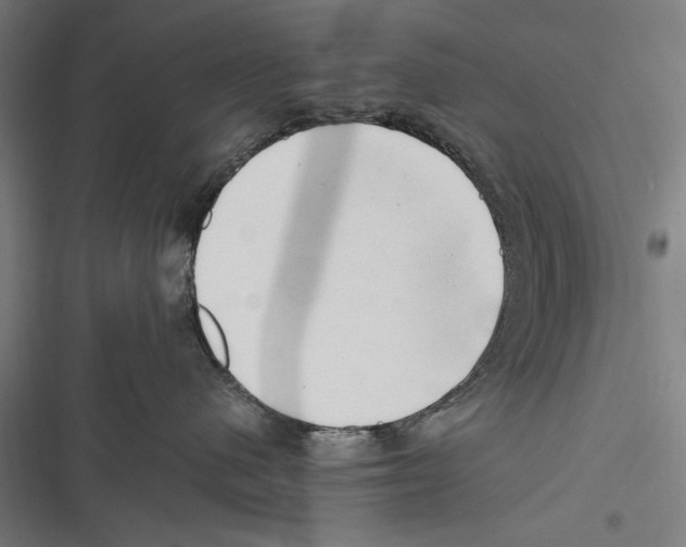 X0000116640480201001111212