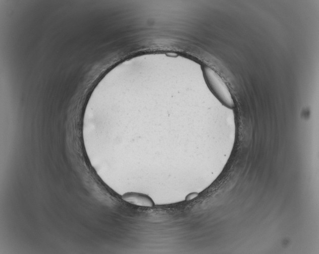 X0000116640481201001111211