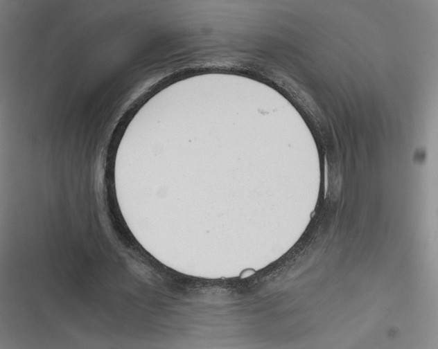 X0000116640483201001111211