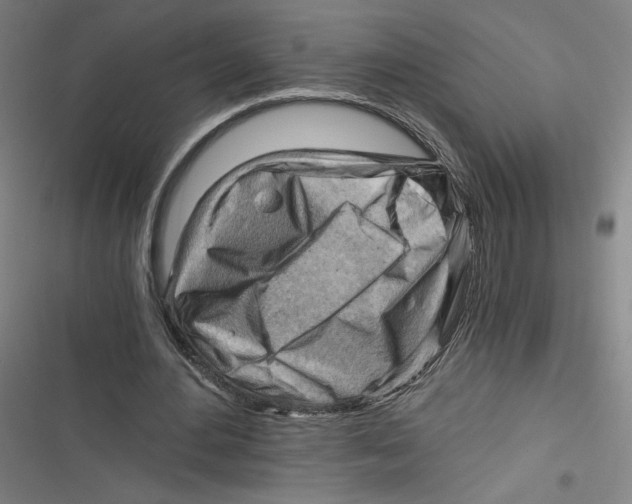 X0000116640484201001111211