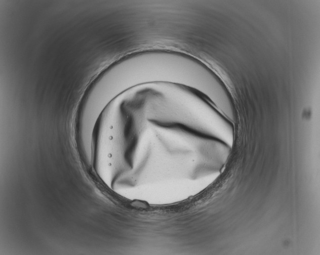 X0000116640485201001111211