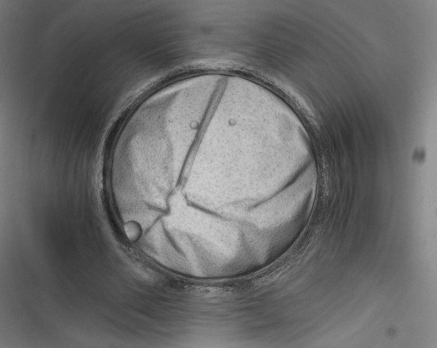 X0000116640486201001111211