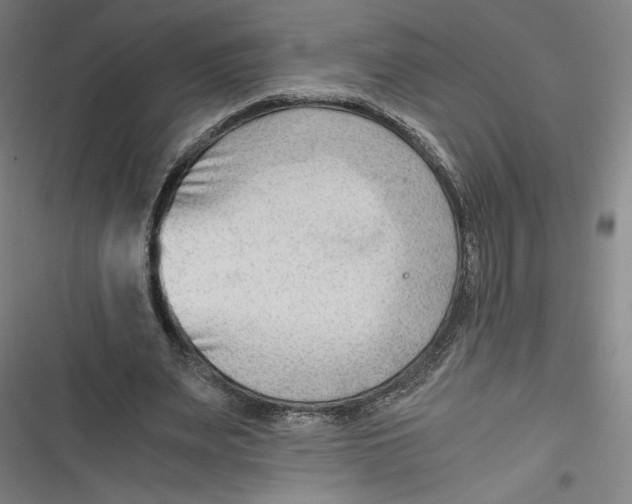 X0000116640487201001111211