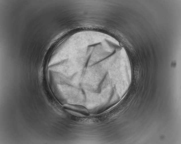 X0000116640488201001111211