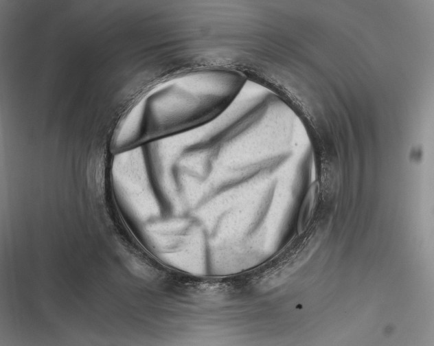 X0000116640493201001111211