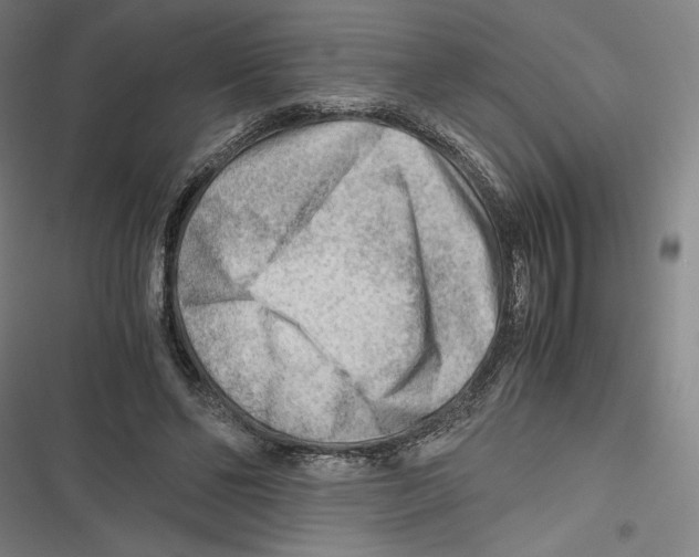 X0000116640494201001111211