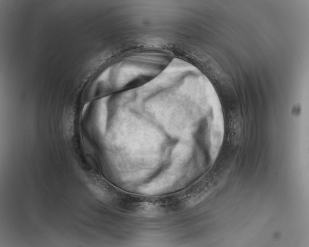 X0000116640496201001111211