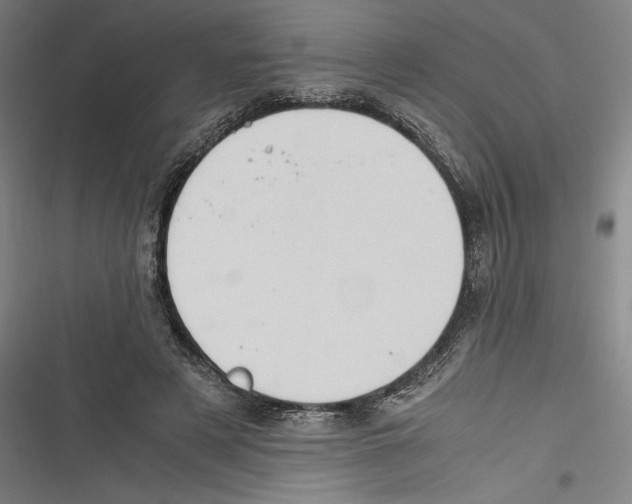 X0000116640497201001111211