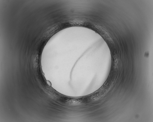 X0000116640498201001111211