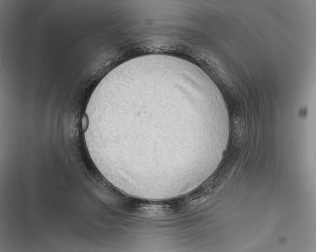 X0000116640499201001111211