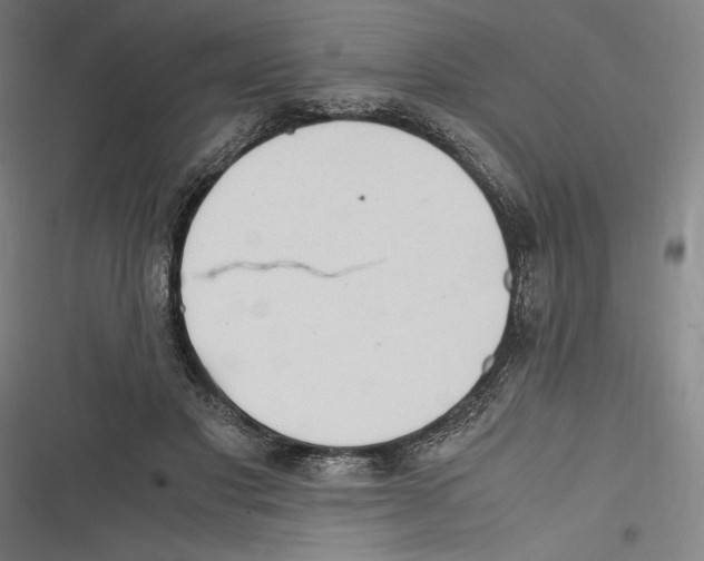 X0000116640501201001111211