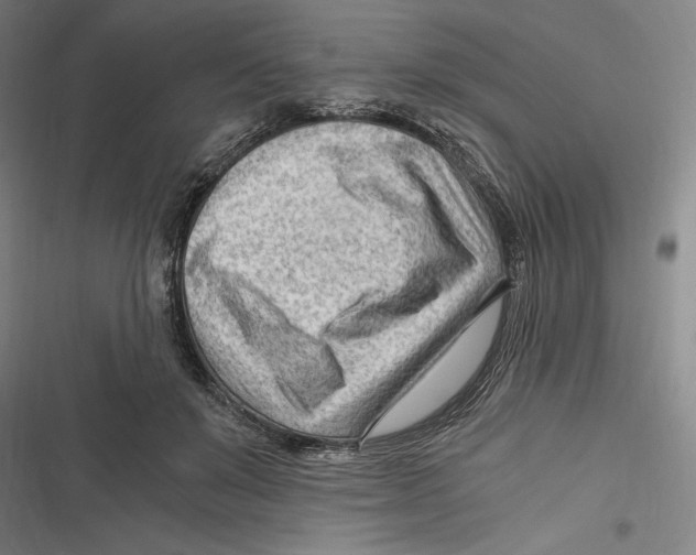 X0000116640503201001111211