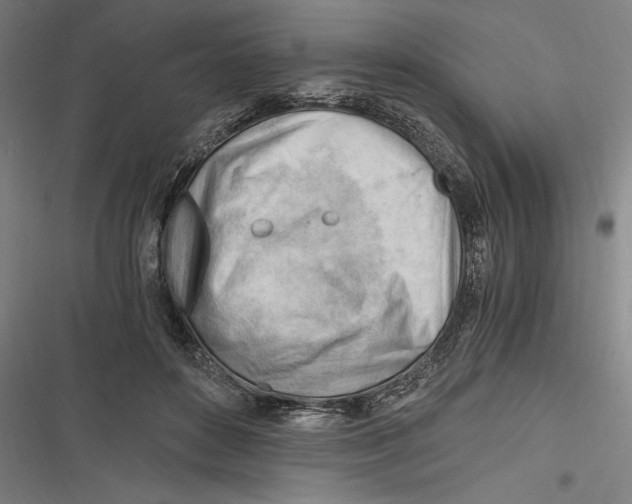 X0000116640504201001111211