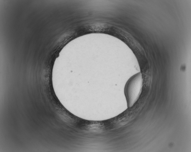 X0000116640505201001111211