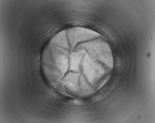 X0000116640506201001111211