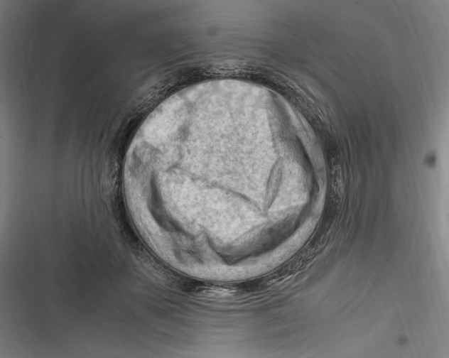 X0000116640507201001111211