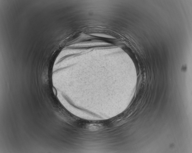 X0000116640508201001111211