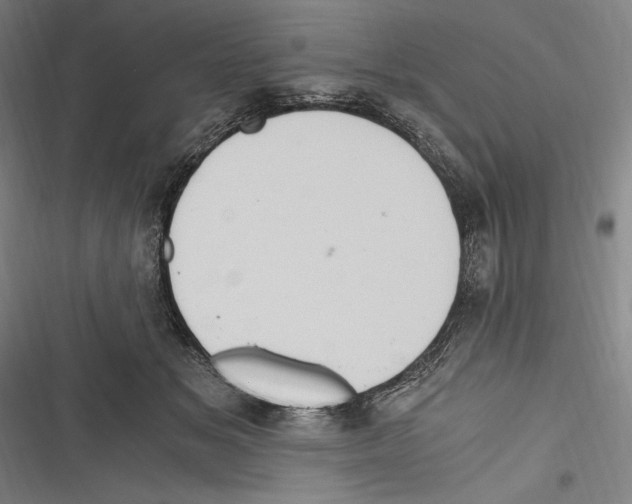 X0000116640509201001111211