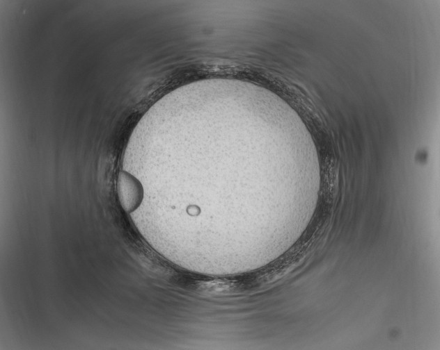 X0000116640511201001111211