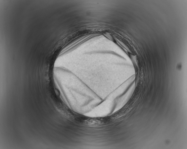 X0000116640512201001111211