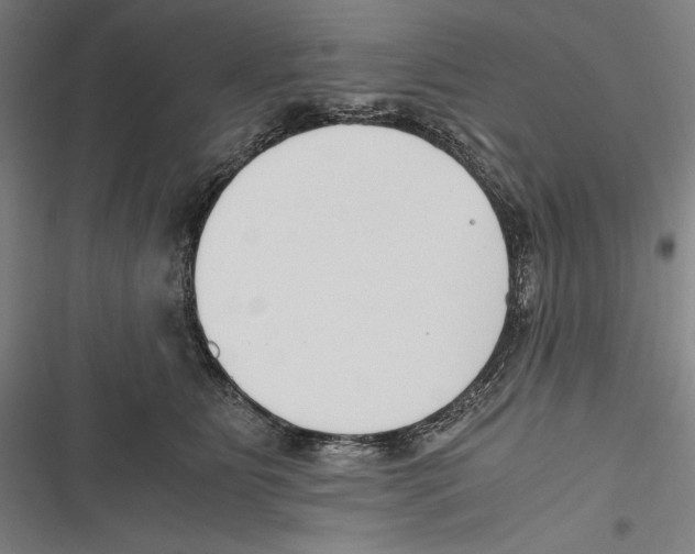 X0000116640515201001111211