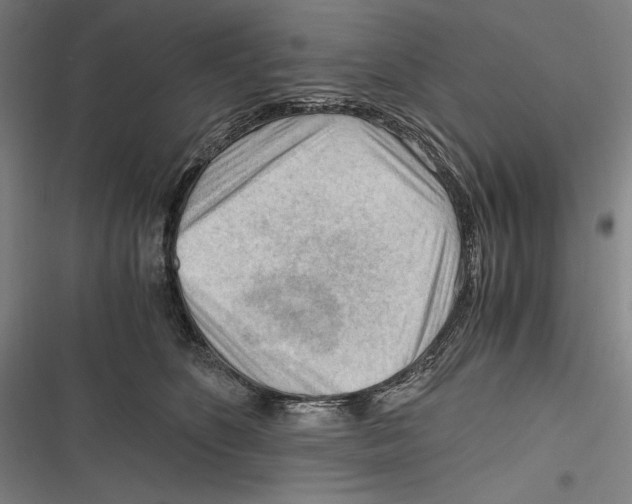 X0000116640516201001111211