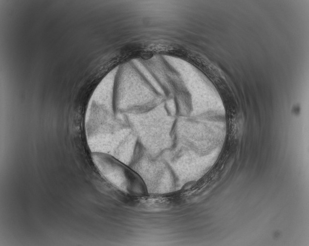 X0000116640517201001111211