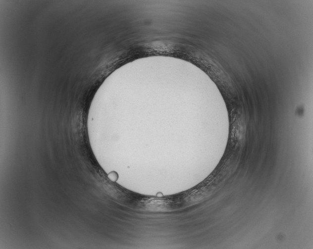 X0000116640518201001111211