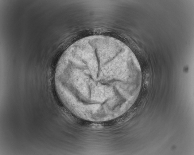 X0000116640519201001111211