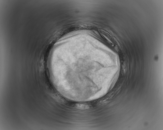 X0000116640520201001111211