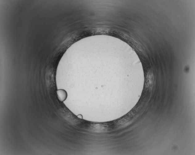 X0000116640522201001111211