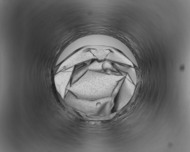 X0000116640524201001111211