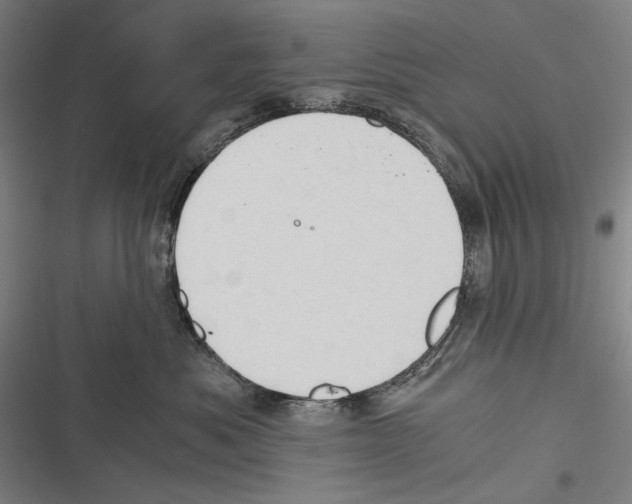 X0000116640525201001111211