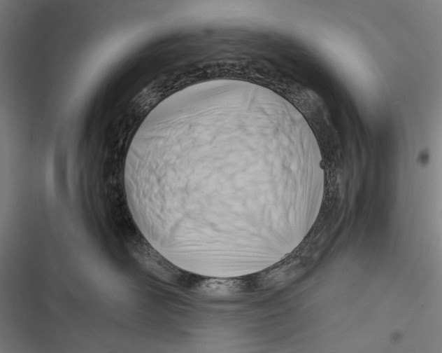 X0000116640526201001111211