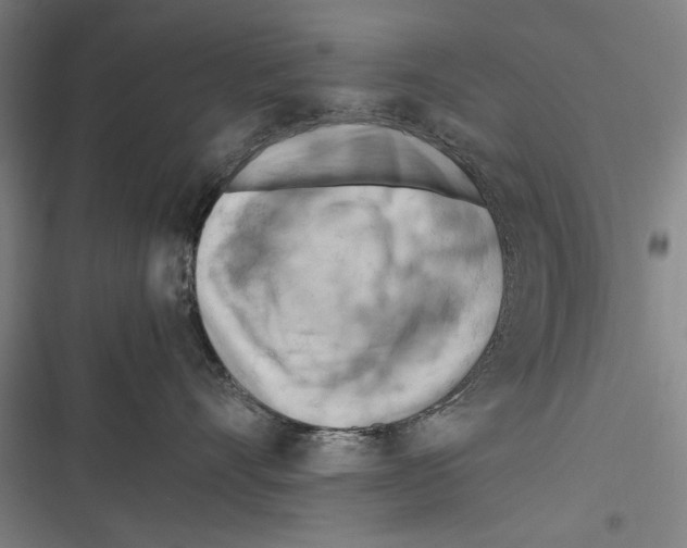 X0000116640528201001111211