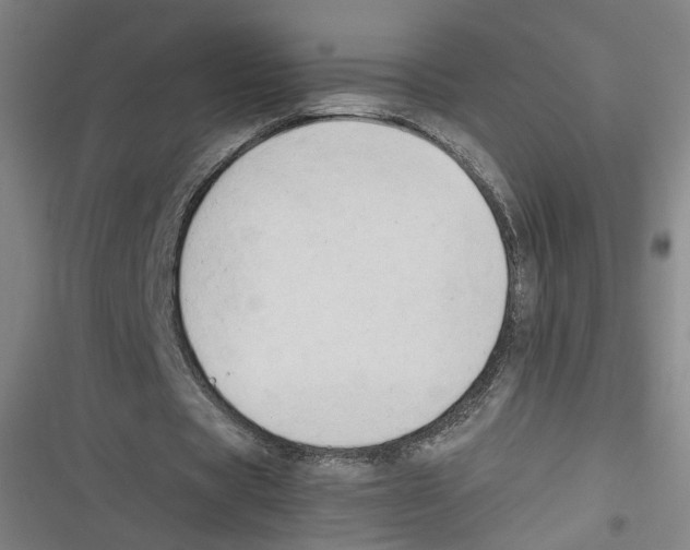 X0000116640529201001111210