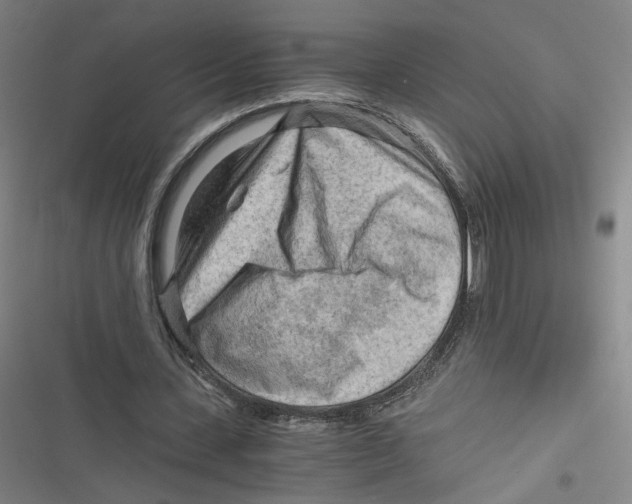 X0000116640531201001111210