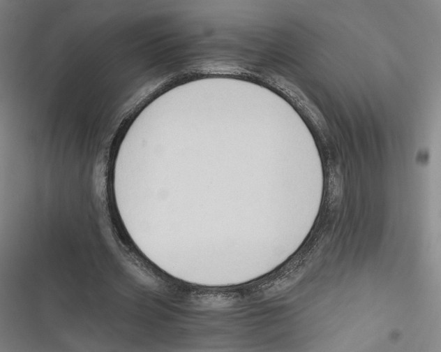 X0000116640533201001111210