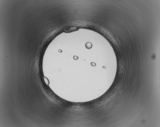 X0000116640538201001111210