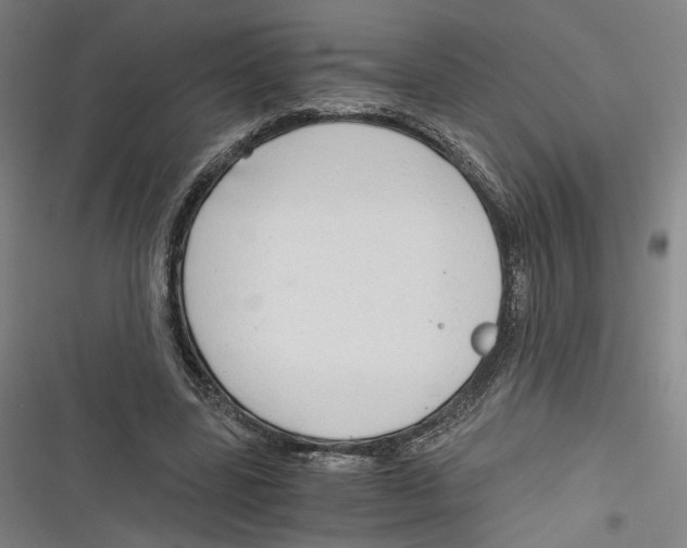 X0000116640539201001111210