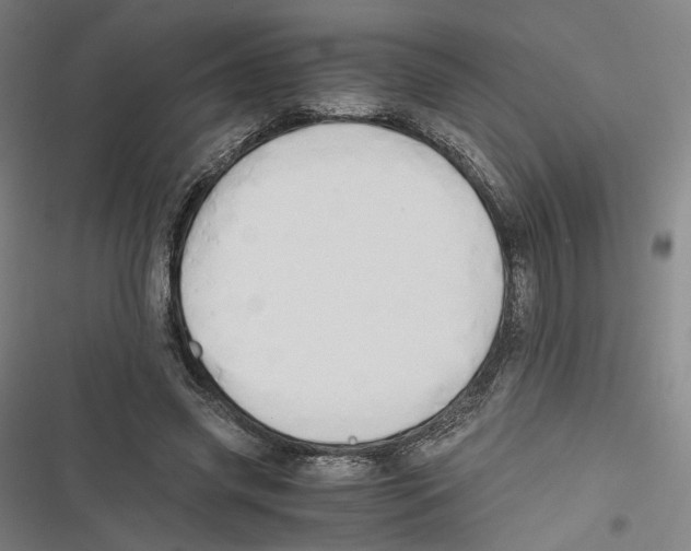 X0000116640541201001111210