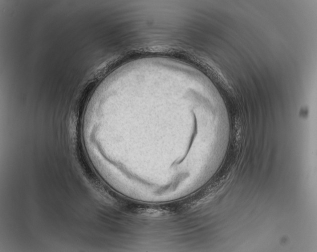 X0000116640542201001111210