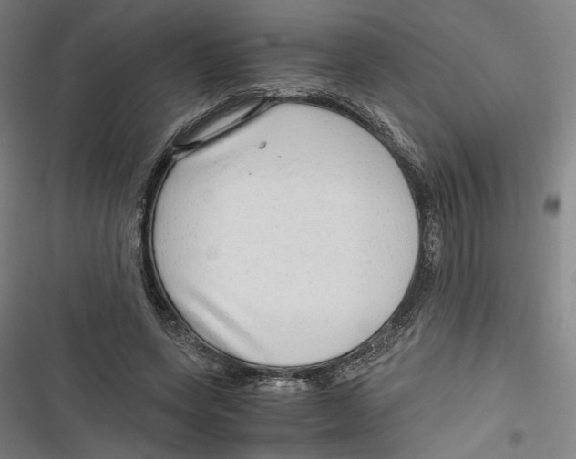 X0000116640543201001111210