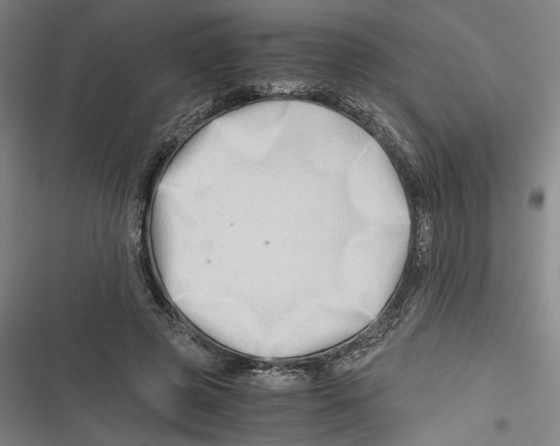 X0000116640545201001111210