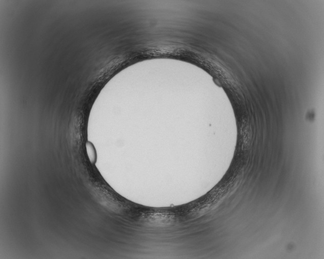 X0000116640546201001111210