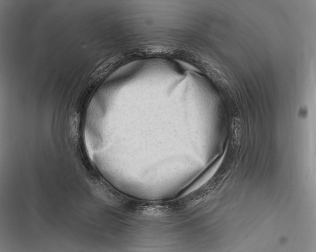 X0000116640550201001111210