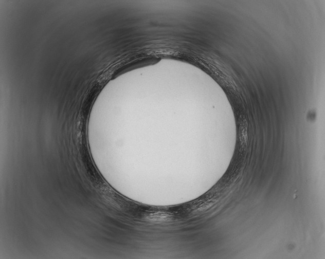 X0000116640551201001111210