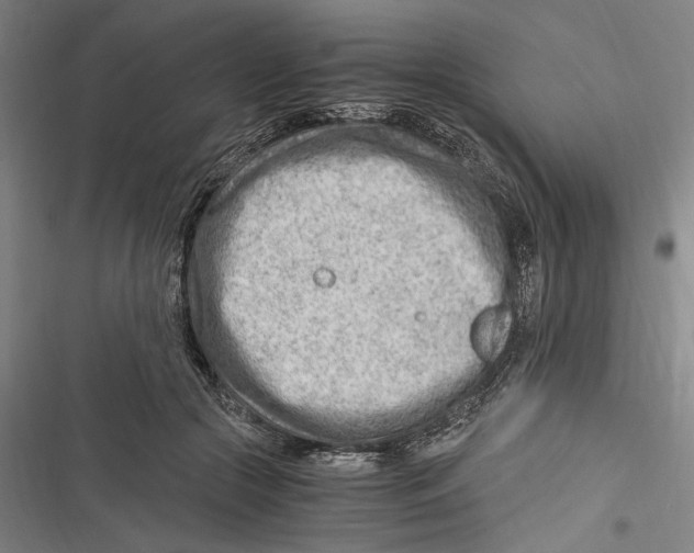 X0000116640553201001111210