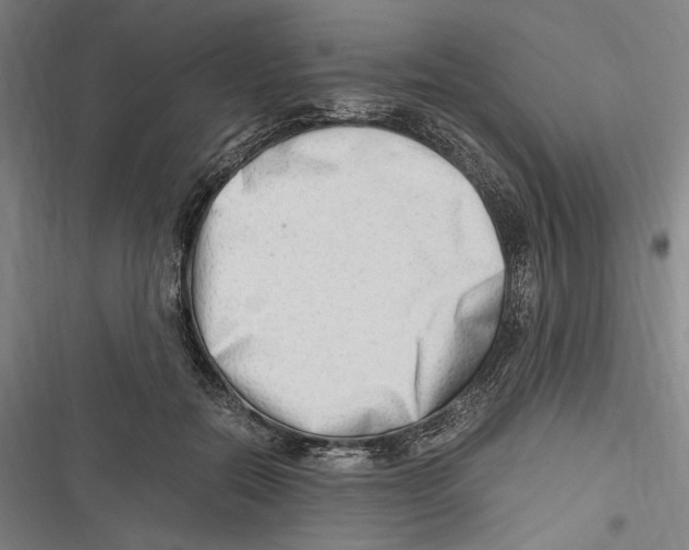 X0000116640554201001111210