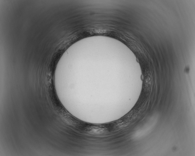 X0000116640555201001111210